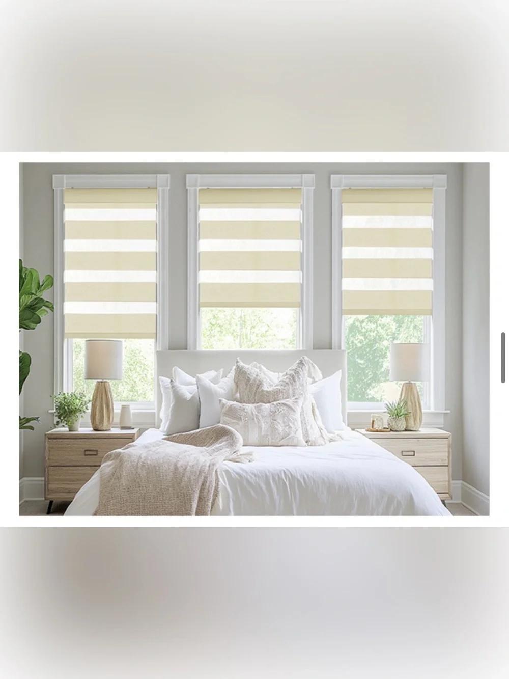 BEIGE Cordless Zebra Blinds 34”W 72”L
